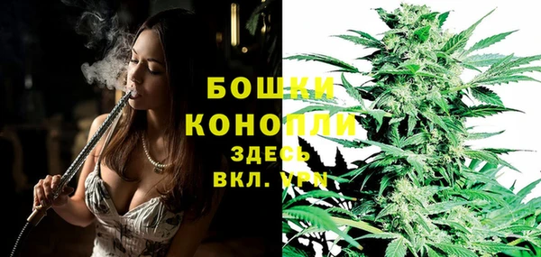 спайс Ельня