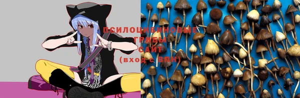 ешки Кодинск